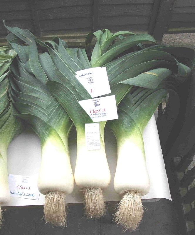 Picture A Warnaby's giant leeks