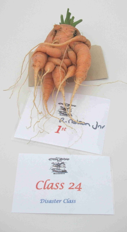 Picture R Nelson Jnr forked carrot